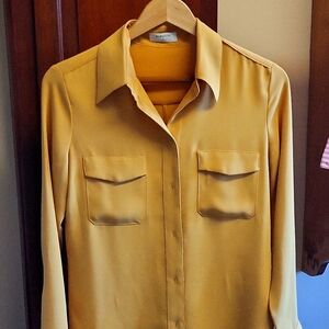 Balaton brand long sleeve shirt. 100% silk